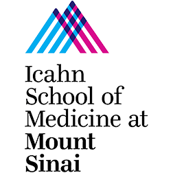 Icahn school of Medicine at Mount Sinai medical training